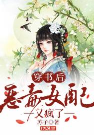 穿書后惡毒女配又瘋了