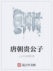 唐朝貴公子